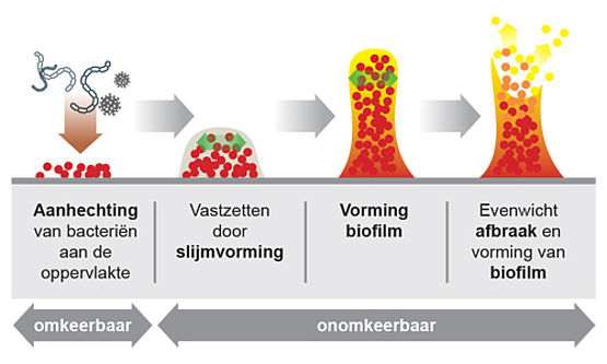 Biofilms in waterleidingen