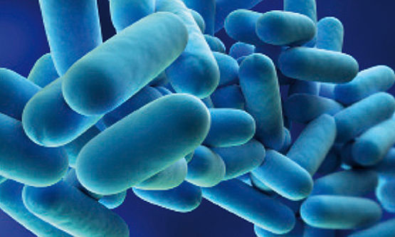 Legionellabacteriën - Waar komen ze voor? Hoe kan ik me beschermen?
