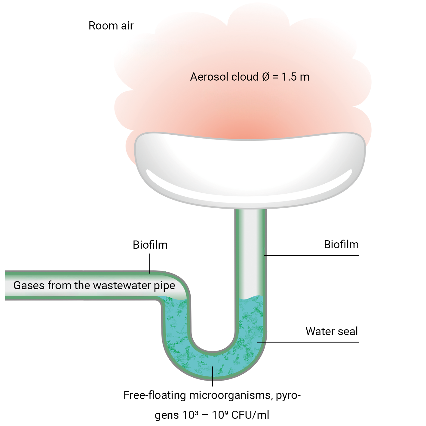 Door biofilm gedreven aerosolvorming in afvoersystemen van wastafels data-alt-override=